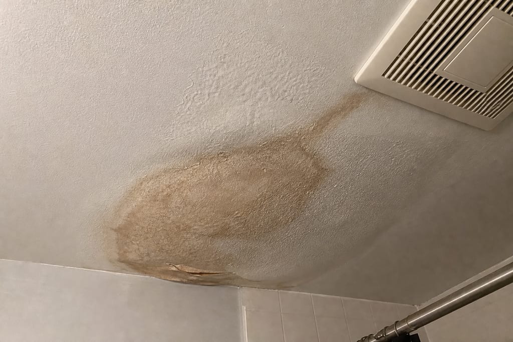 Water Damage Drywall Repair photo